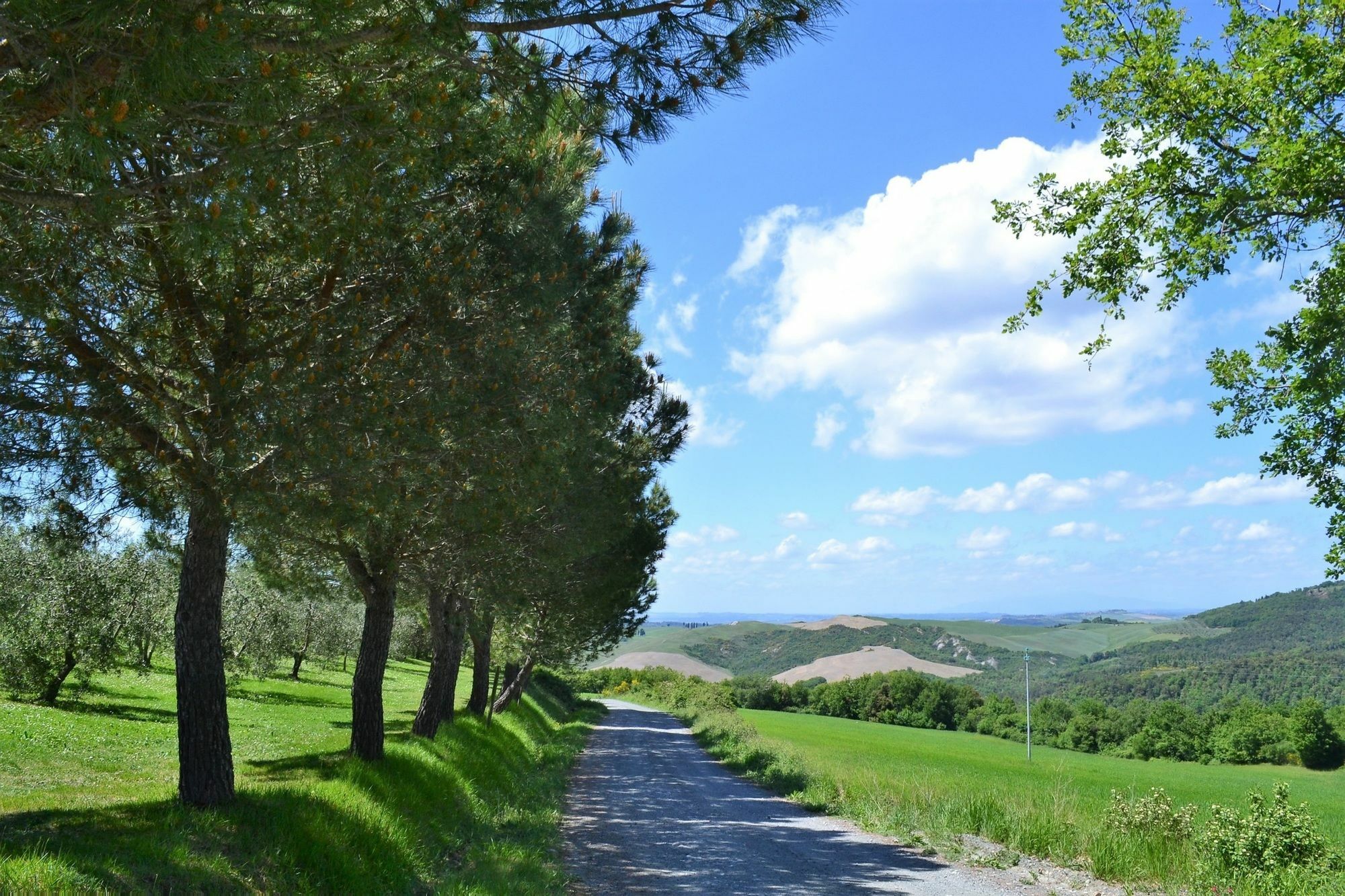 Apartment With One Bedroom In Volterra, With Wonderful Mountain View, 外观 照片
