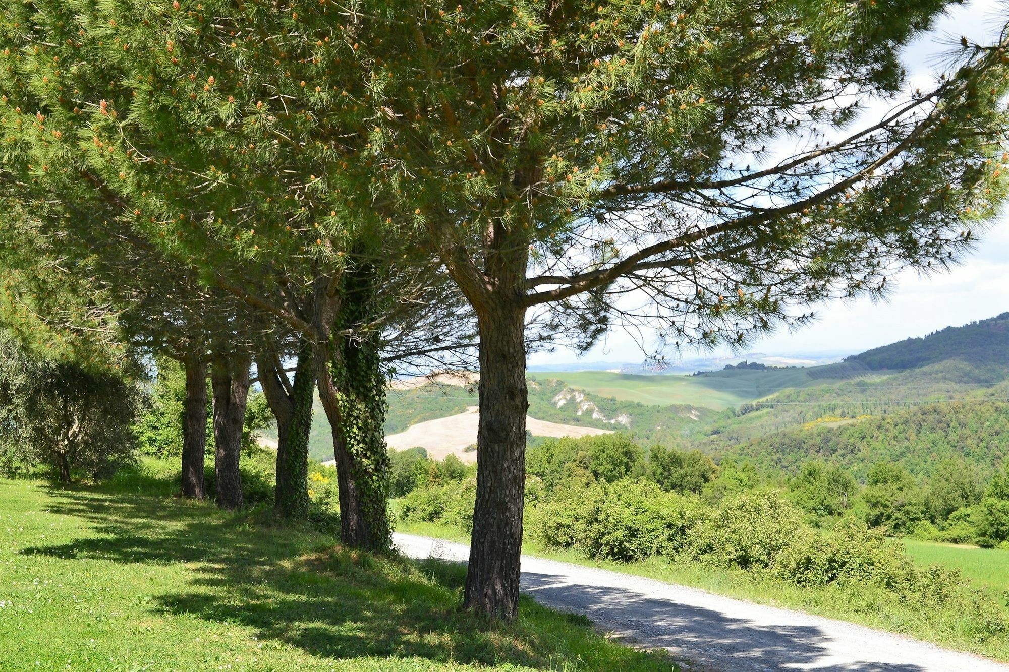 Apartment With One Bedroom In Volterra, With Wonderful Mountain View, 外观 照片
